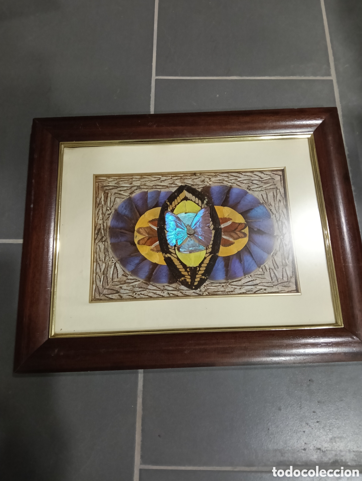 Artesan&iacute;a: Cuadro artesanal alas de mariposa