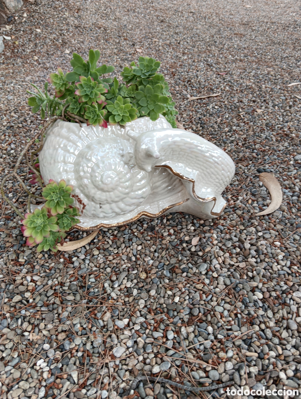Artesan&iacute;a: Caracol de cer&aacute;mica ribeteado