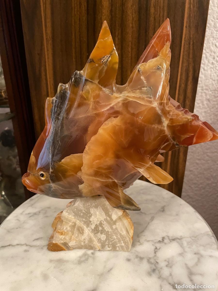 Artesan&iacute;a: PEZ &Aacute;NGEL TALLADO EN PIEDRA SEMIPRECIOSA