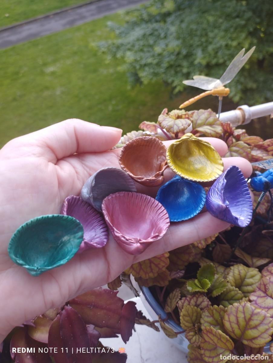 Artesan&iacute;a: Conchas marinas colores - Foto 2