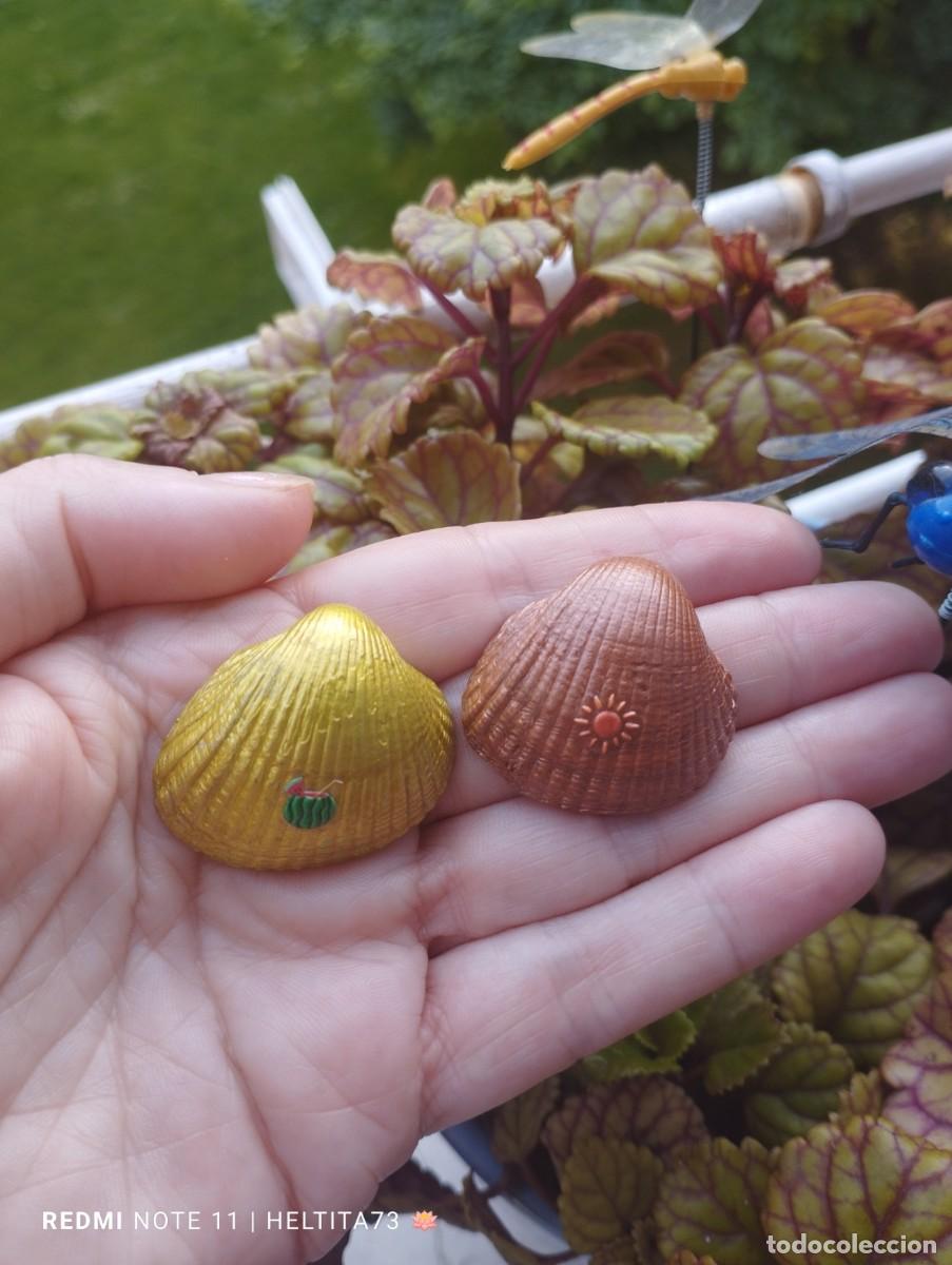 Artesan&iacute;a: Conchas marinas colores - Foto 3