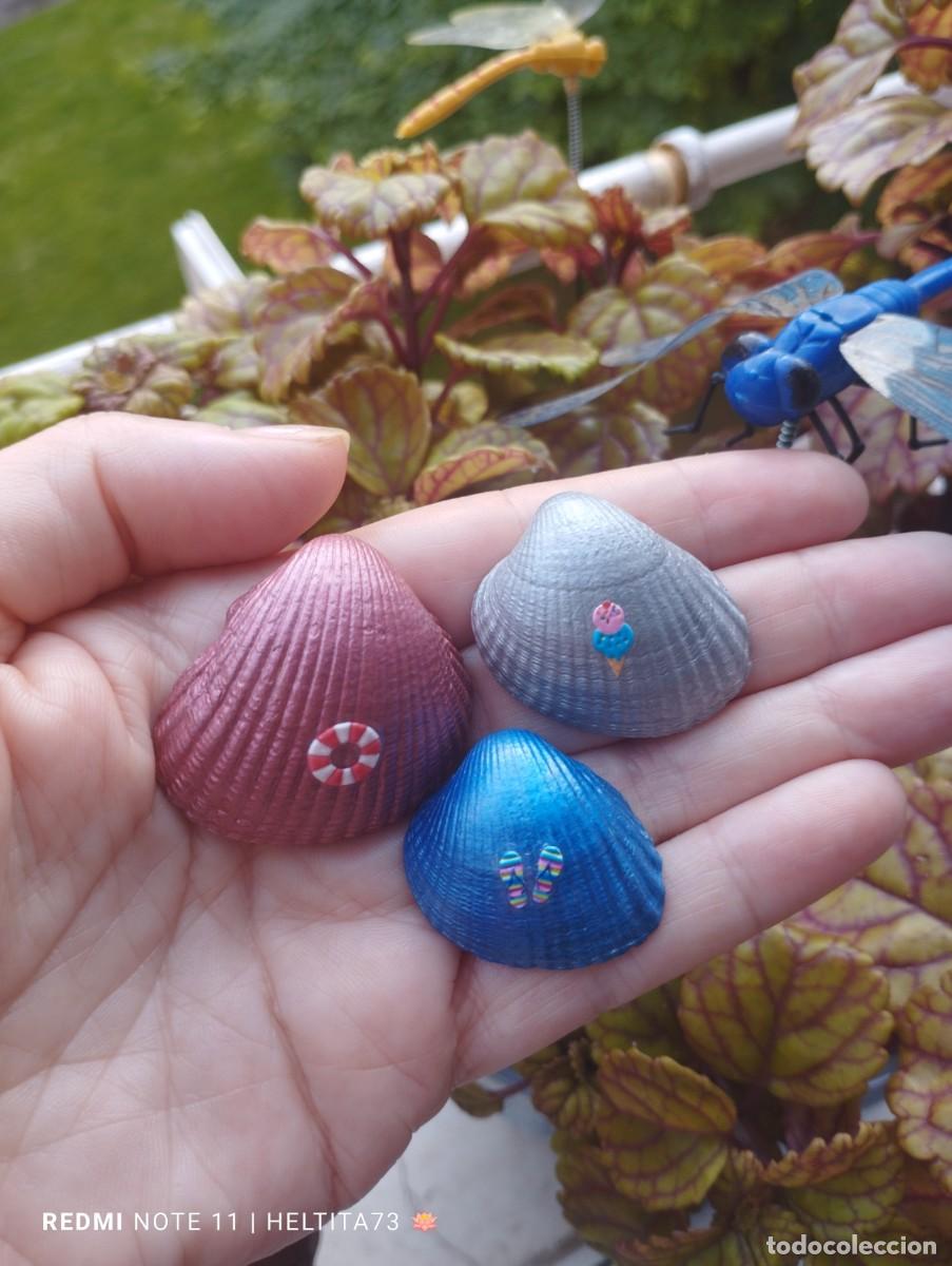 Artesan&iacute;a: Conchas marinas colores - Foto 4