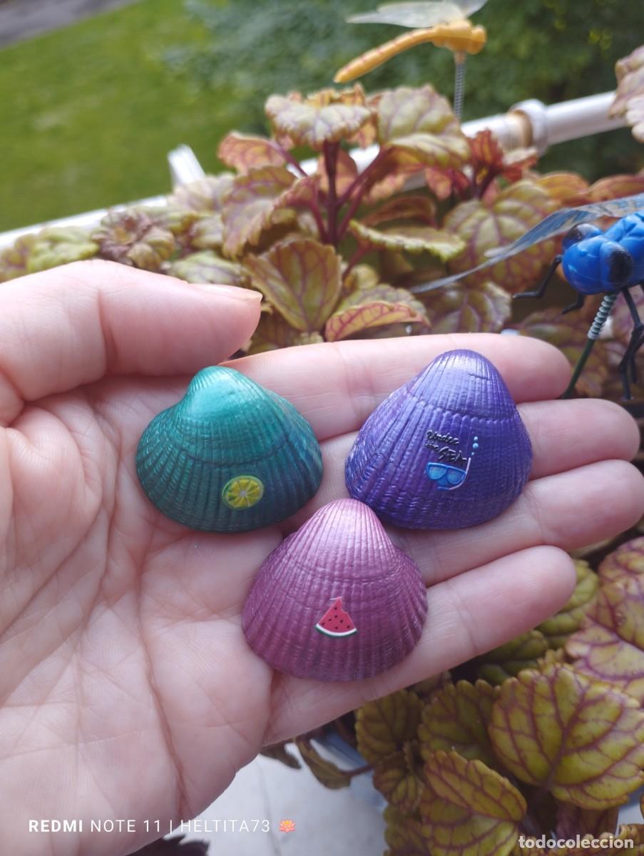 Artesan&iacute;a: Conchas marinas colores - Foto 5