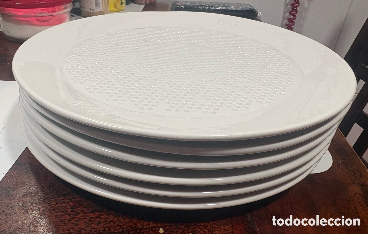 Artesan&iacute;a: SEIS PLATOS DE PORCELANA ABSORBENTES MARCA HOLA