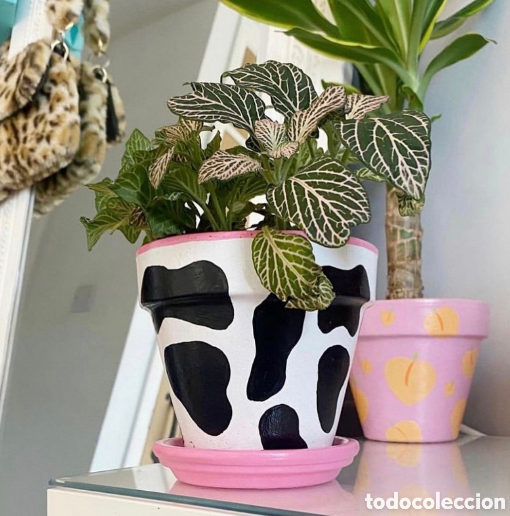 Artesan&iacute;a: Maceta de colecci&oacute;n con estampado de vaca - Foto 1