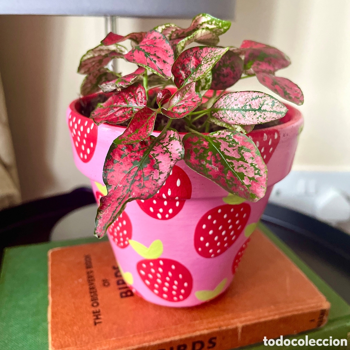 Artesan&iacute;a: Maceta de colecci&oacute;n con estampado de fresas.