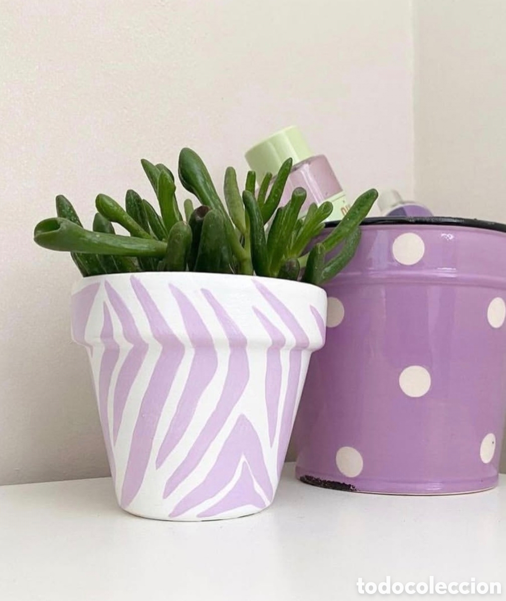Artesan&iacute;a: Maceta de colecci&oacute;n con estampado de zebra en color morado