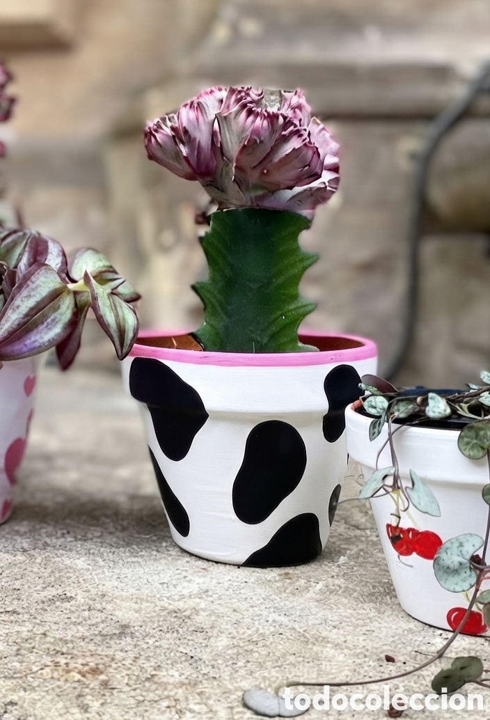 Artesan&iacute;a: Maceta de colecci&oacute;n con estampado de vaca - Foto 2