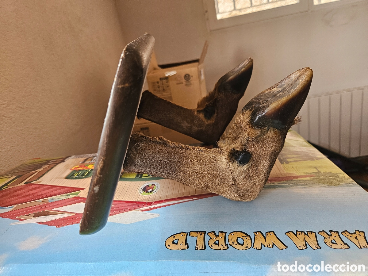 Artesan&iacute;a: Perchero de patas de ciervo - Foto 3