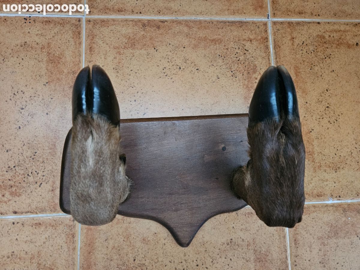 Artesan&iacute;a: Perchero de patas de ciervo