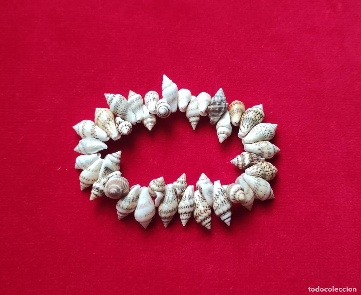 Artesan&iacute;a: PULSERA HECHA DE CARACOLAS NATURALES - Foto 2