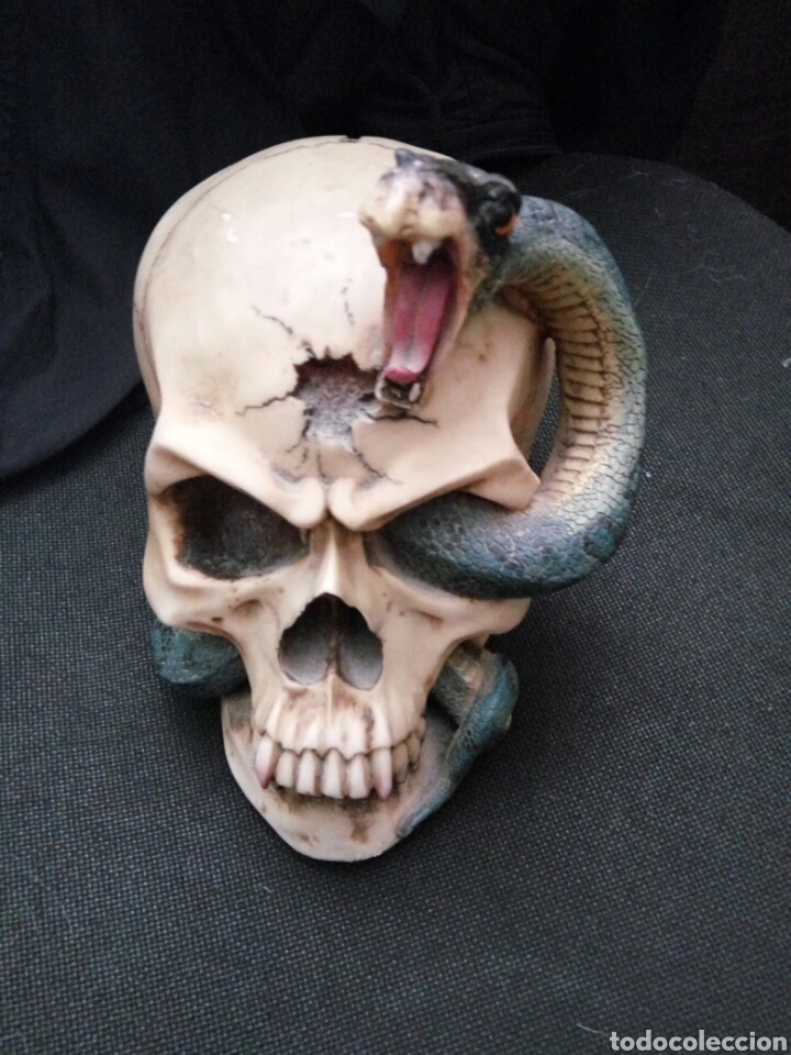 Artesan&iacute;a: Calavera, craneo, hucha, serpiente - Foto 2