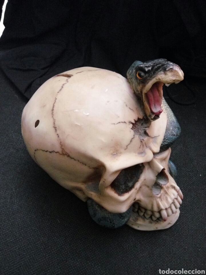 Artesan&iacute;a: Calavera, craneo, hucha, serpiente - Foto 3