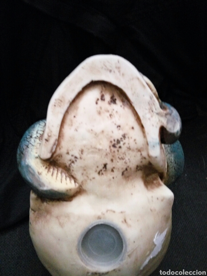 Artesan&iacute;a: Calavera, craneo, hucha, serpiente - Foto 4
