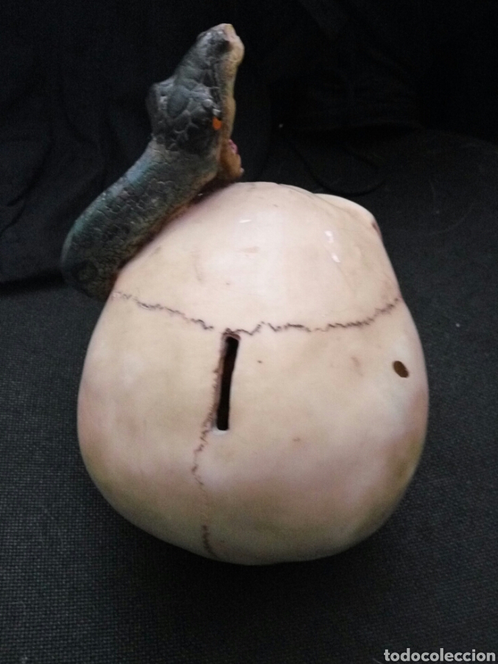 Artesan&iacute;a: Calavera, craneo, hucha, serpiente - Foto 5
