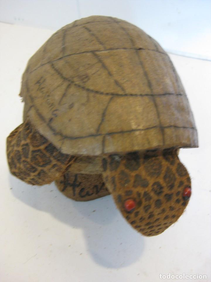 Artesan&iacute;a: TORTUGA TALLA EN CASCARA DE COCO, CUBA - Foto 2