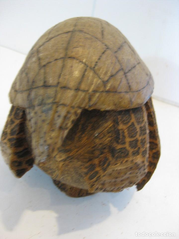 Artesan&iacute;a: TORTUGA TALLA EN CASCARA DE COCO, CUBA - Foto 3