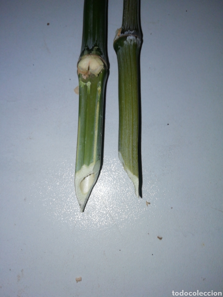 Artesan&iacute;a: Calamo artesano de bamb&uacute; - Foto 2