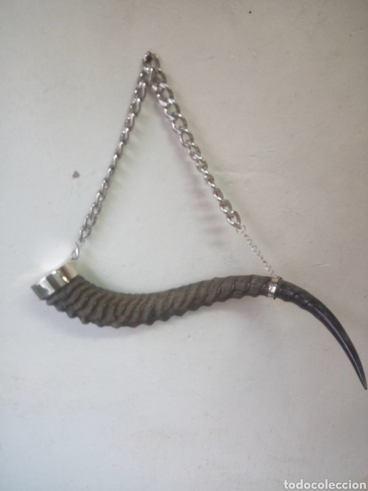 Artesan&iacute;a: Decoraci&oacute;n cuerna antilope - Foto 3