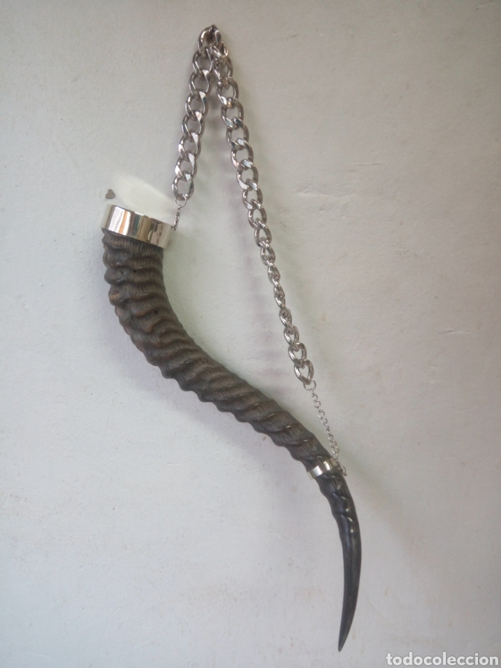Artesan&iacute;a: Decoraci&oacute;n cuerna antilope - Foto 1