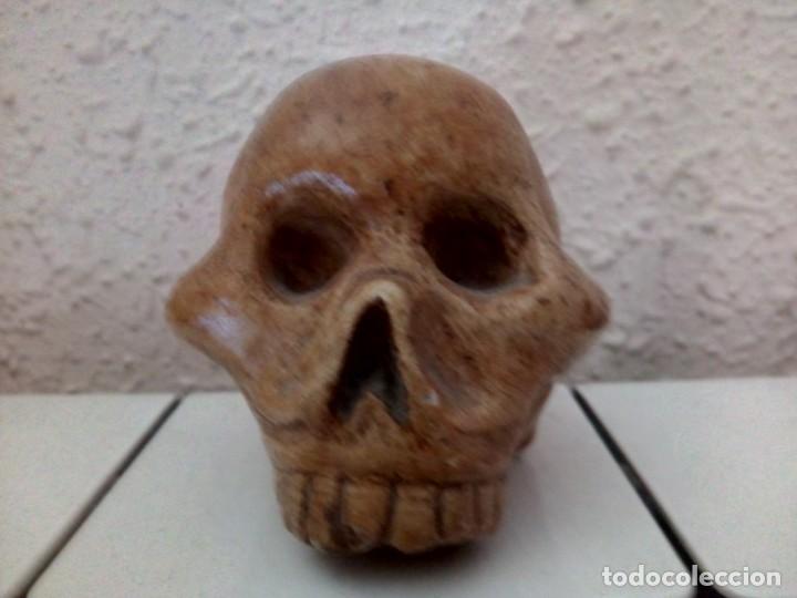 Artesan&iacute;a: CALAVERA DE resina - Foto 1