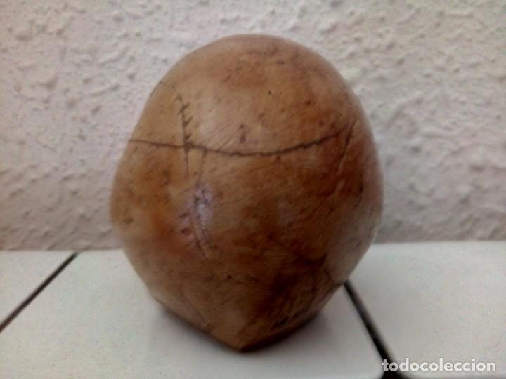 Artesan&iacute;a: CALAVERA DE resina - Foto 3