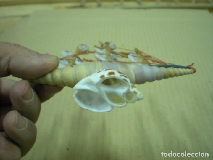 Artesan&iacute;a: BARQUITO HECHO CON CONCHAS Y MADERA 13X14CM - Foto 4