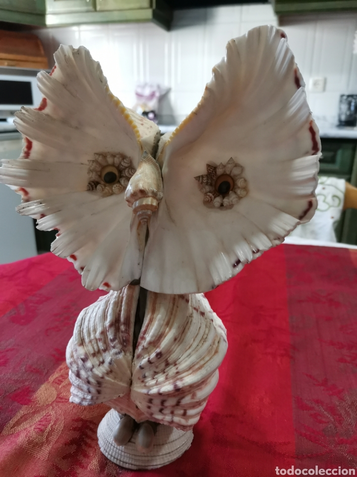 Artesan&iacute;a: Buho hecho con conchas - Foto 1