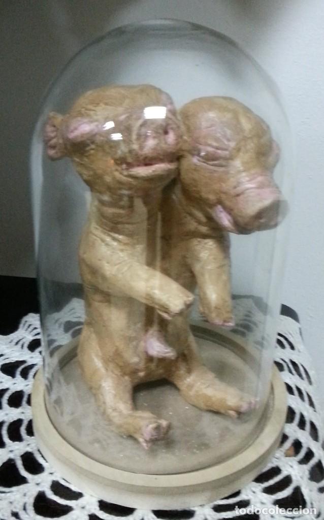 Artesan&iacute;a: Cerdo de dos cabezas. R&eacute;plica. - Foto 1