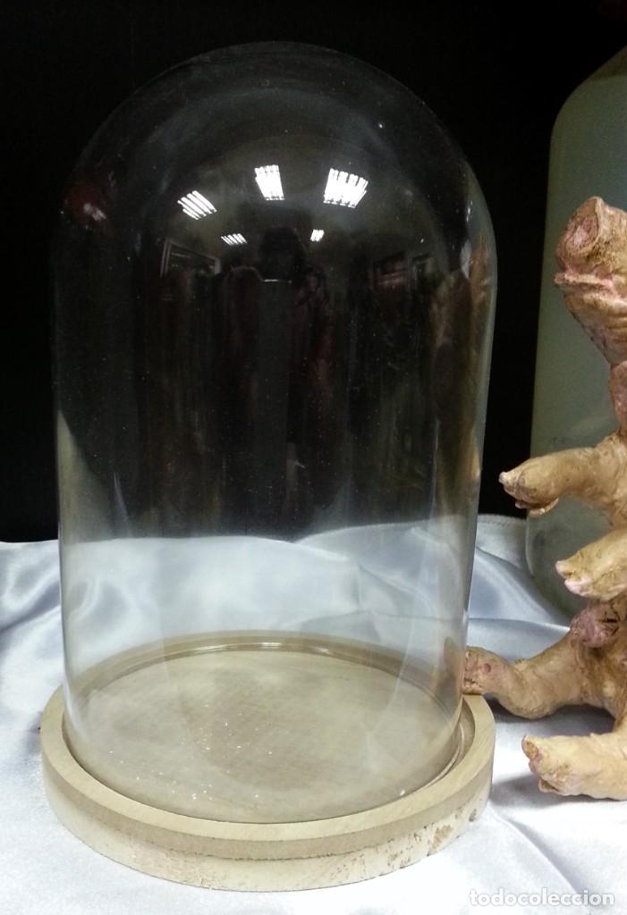 Artesan&iacute;a: Cerdo de dos cabezas. R&eacute;plica. - Foto 8