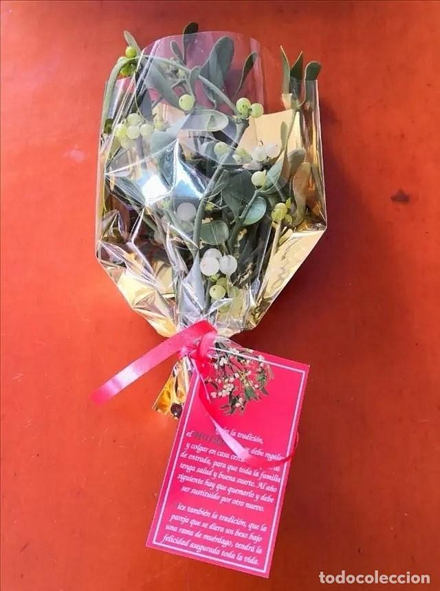 Artesan&iacute;a: Ramilletes Muerdago Gui Mistletoe vesc - Foto 1