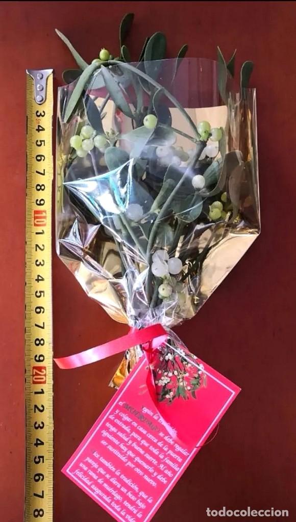 Artesan&iacute;a: Ramilletes Muerdago Gui Mistletoe vesc - Foto 2