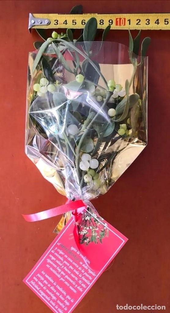 Artesan&iacute;a: Ramilletes Muerdago Gui Mistletoe vesc - Foto 3