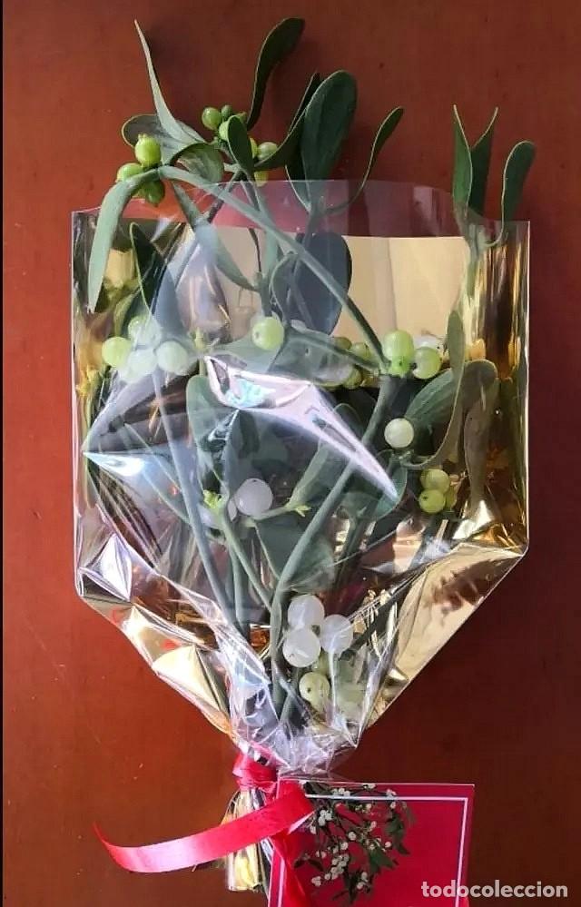 Artesan&iacute;a: Ramilletes Muerdago Gui Mistletoe vesc - Foto 4