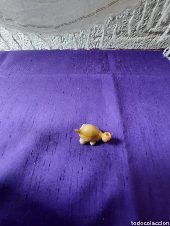 Artesan&iacute;a: Tortuga hecha con conchas - Foto 2