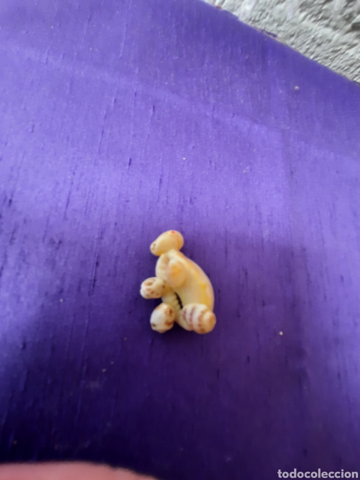 Artesan&iacute;a: Tortuga hecha con conchas - Foto 5