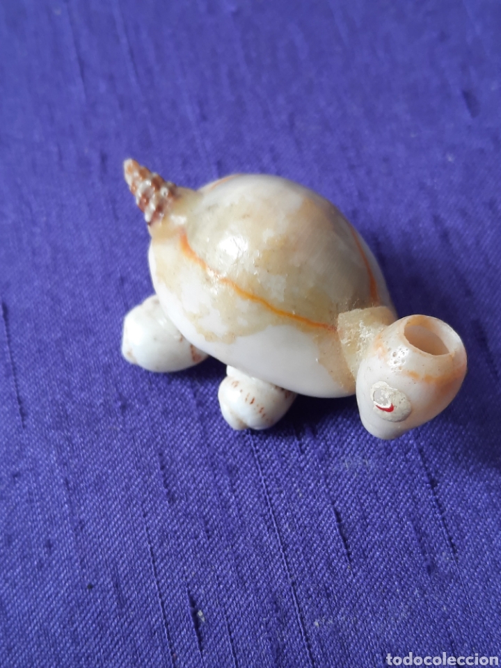 Handicraft: Tortuga hecha con conchas