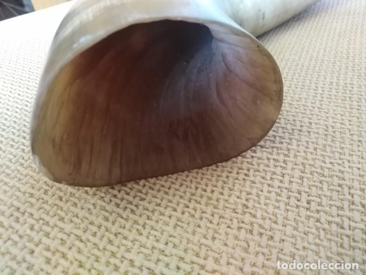 Artesan&iacute;a: Cuerno tallado - Foto 6