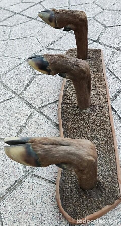 Artesan&iacute;a: Perchero de piel y patas de ciervo - Foto 3