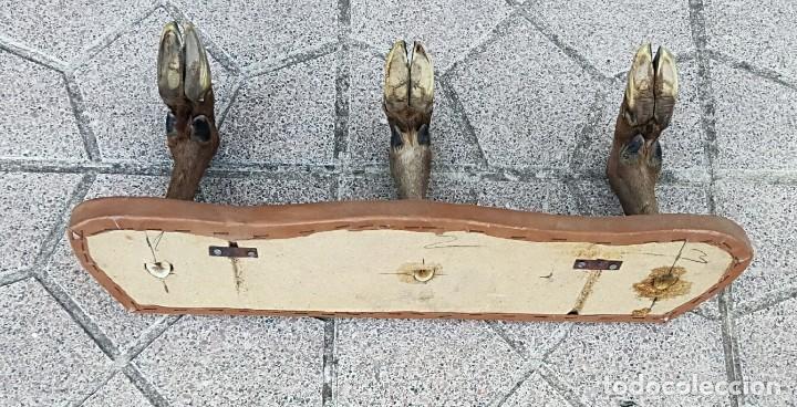 Artesan&iacute;a: Perchero de piel y patas de ciervo - Foto 4