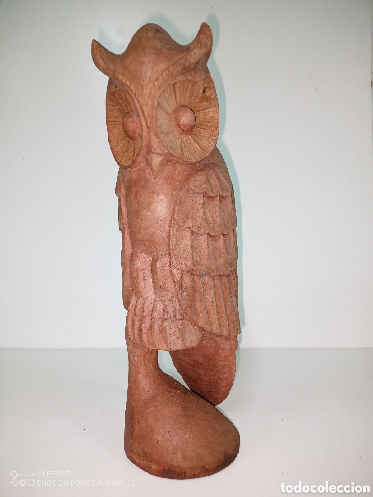 Artesan&iacute;a: B&uacute;ho talla madera - Foto 4