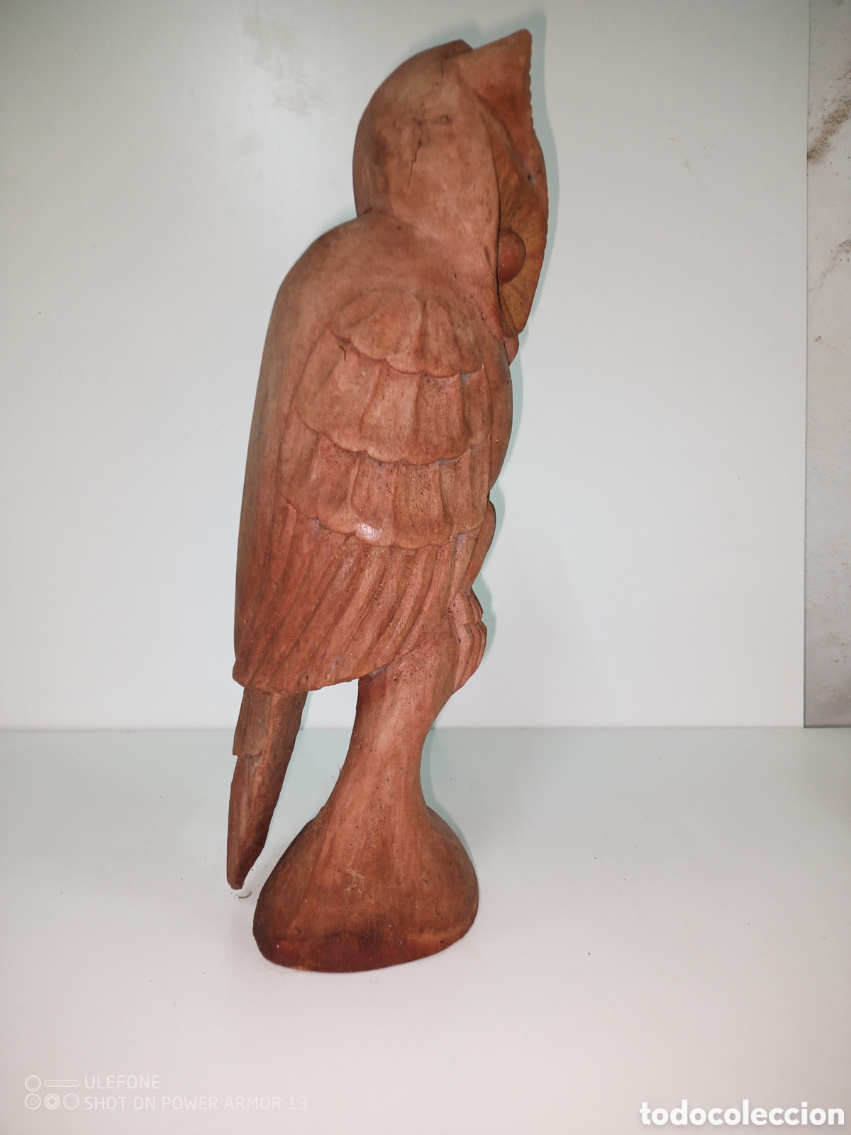 Artesan&iacute;a: B&uacute;ho talla madera - Foto 1