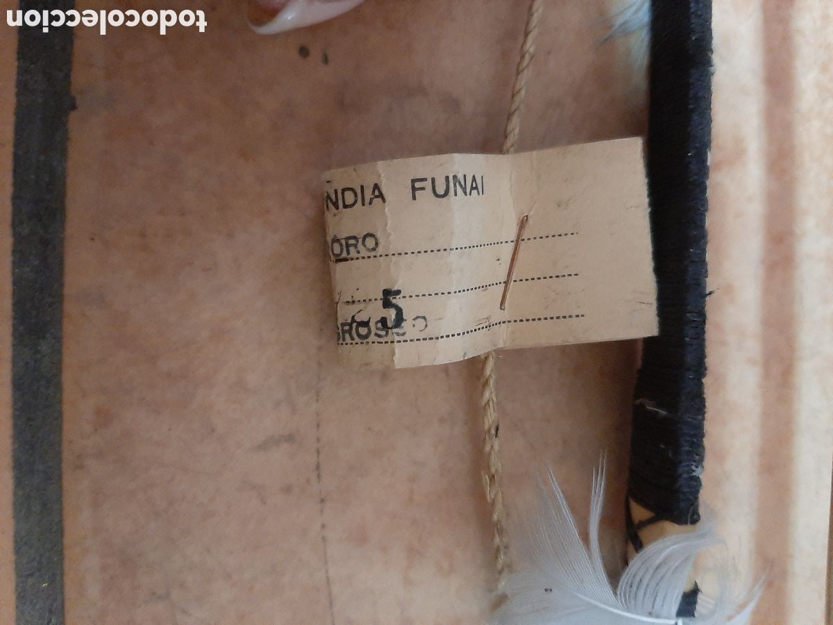 Artesan&iacute;a: ARCO Y DOS FLECHAS TRIBU BORORO AMAZONAS - Foto 4