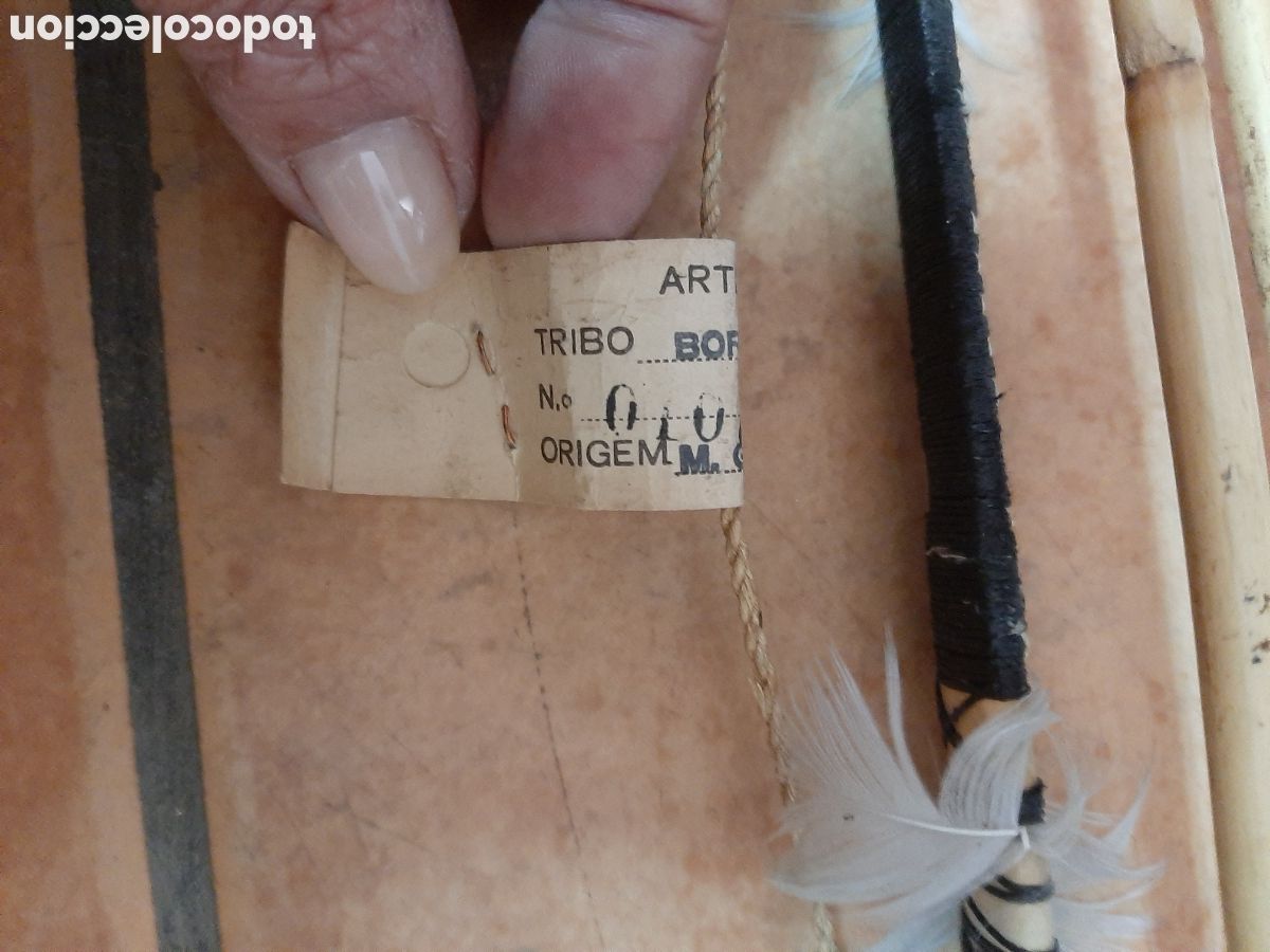 Artesan&iacute;a: ARCO Y DOS FLECHAS TRIBU BORORO AMAZONAS - Foto 7
