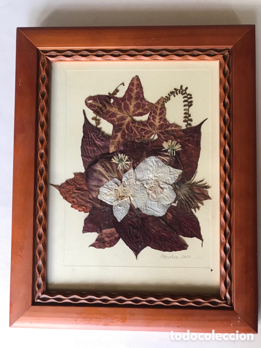 Artesan&iacute;a: Cuadro Flores secas - Foto 1