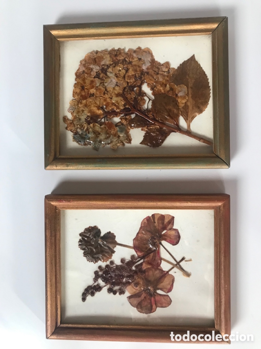 Artesan&iacute;a: Cuadros - Foto 1