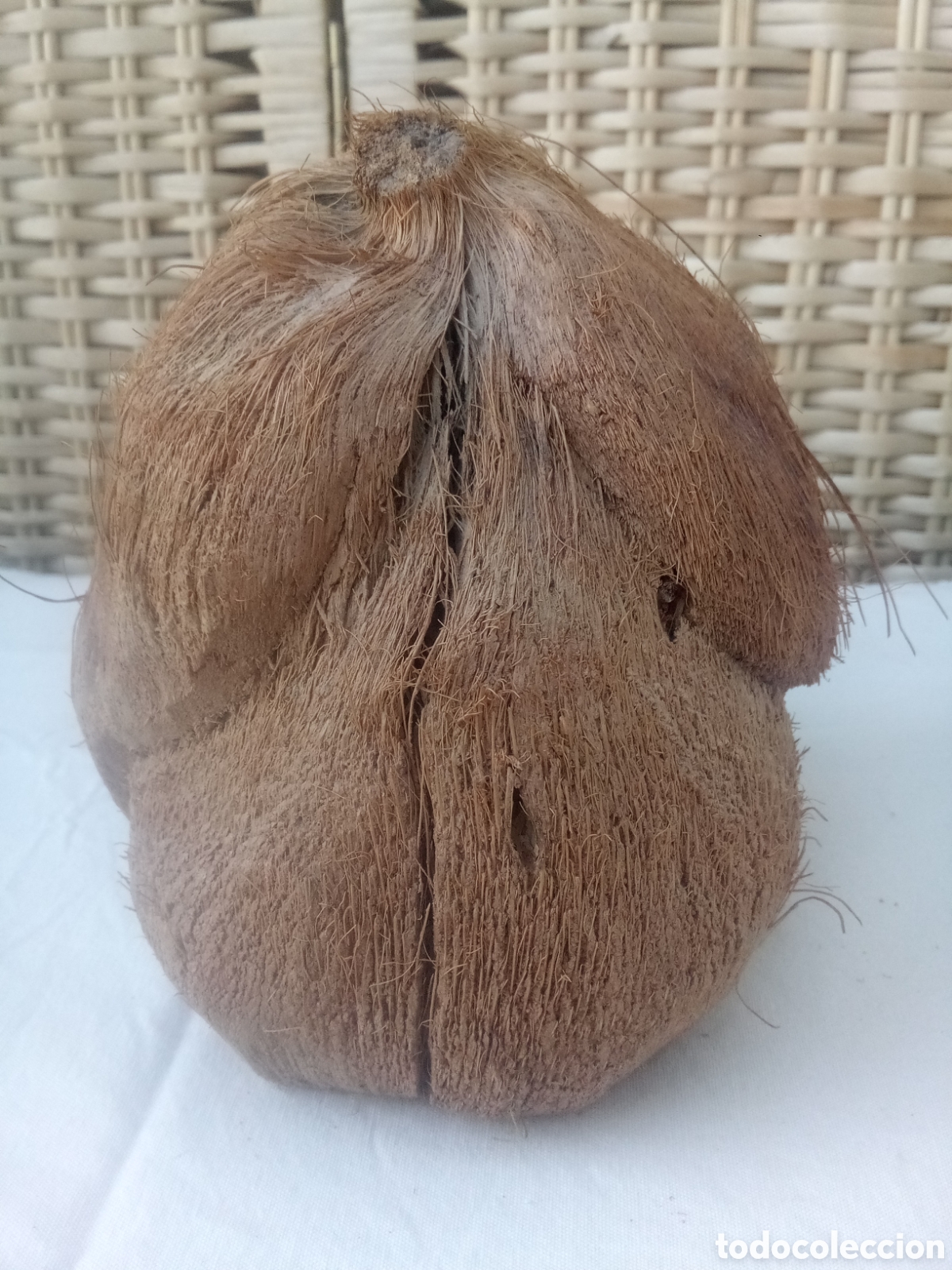 Artesan&iacute;a: MONO REALIZADO EN COCO - Foto 3