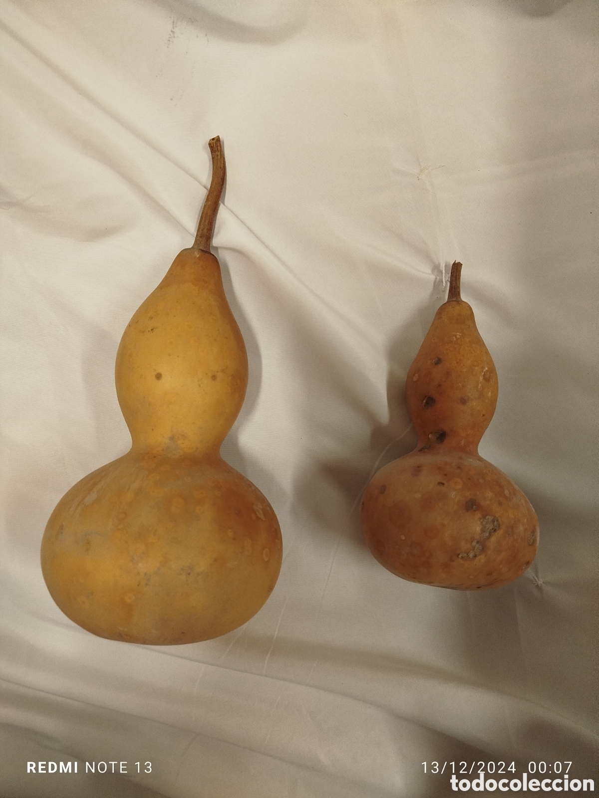 Artesan&iacute;a: Calabazas naturales secas - Foto 1