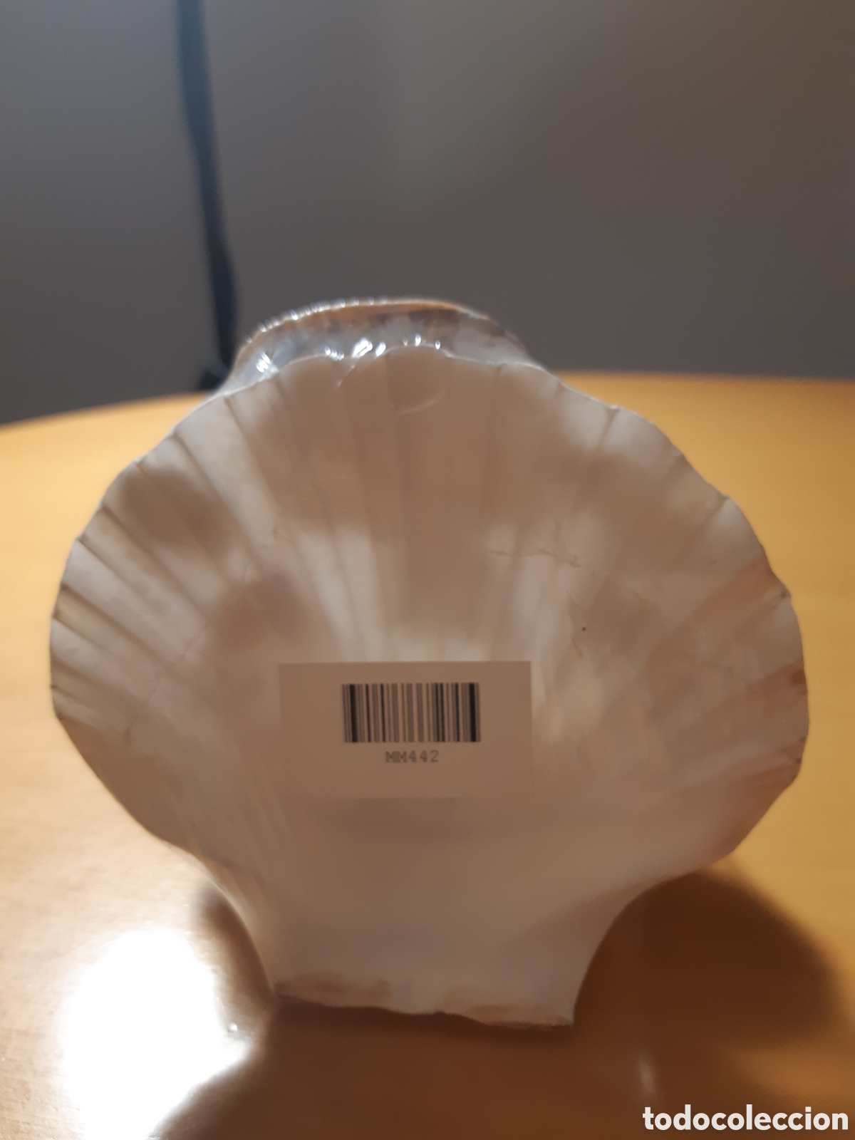 Artesan&iacute;a: Imagen sobre conchas naturales - Foto 4