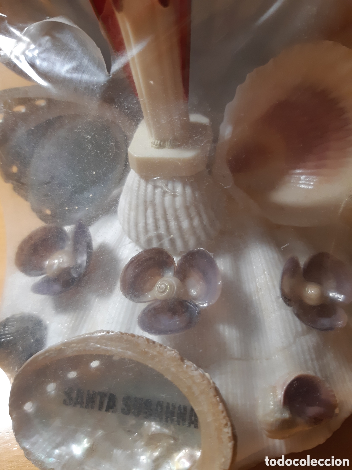 Artesan&iacute;a: Imagen sobre conchas naturales - Foto 5